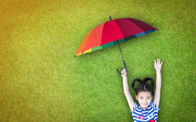 Widerruf Lebensversicherung – die wichtigsten Fakten im Überblick!